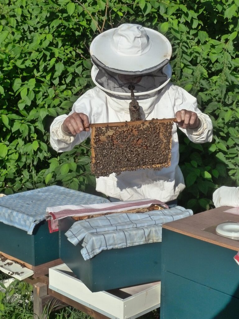 Beekeeper with honey comb.