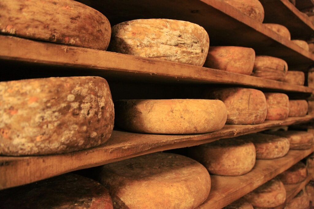 Aged cheese wheels on wooden racks.